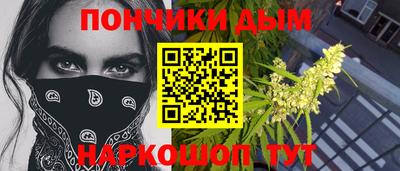 шишки Свободный