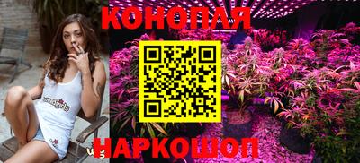 шишки Свободный