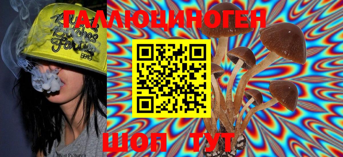 Псилоцибиновые грибы MAGIC MUSHROOMS Новоалександровск