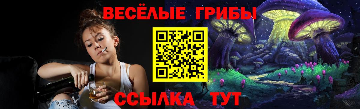 что такое наркотик  Галлюциногенные грибы мицелий  Вход с VPN  Новоалександровск 